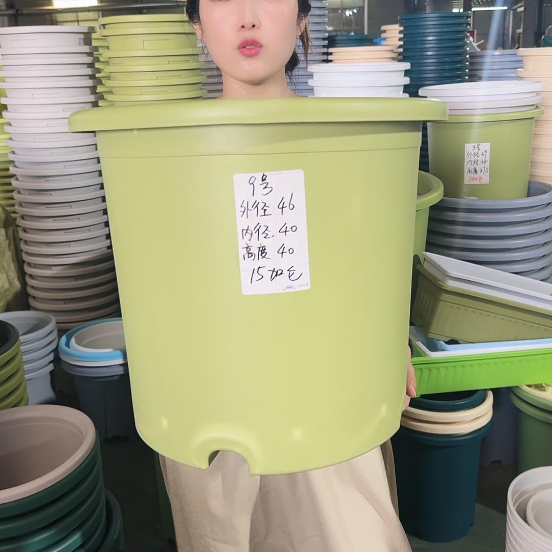微瑕9#口径46无拖果绿3个