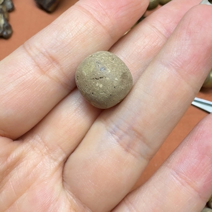 大叶紫檀（黑酸枝木类）