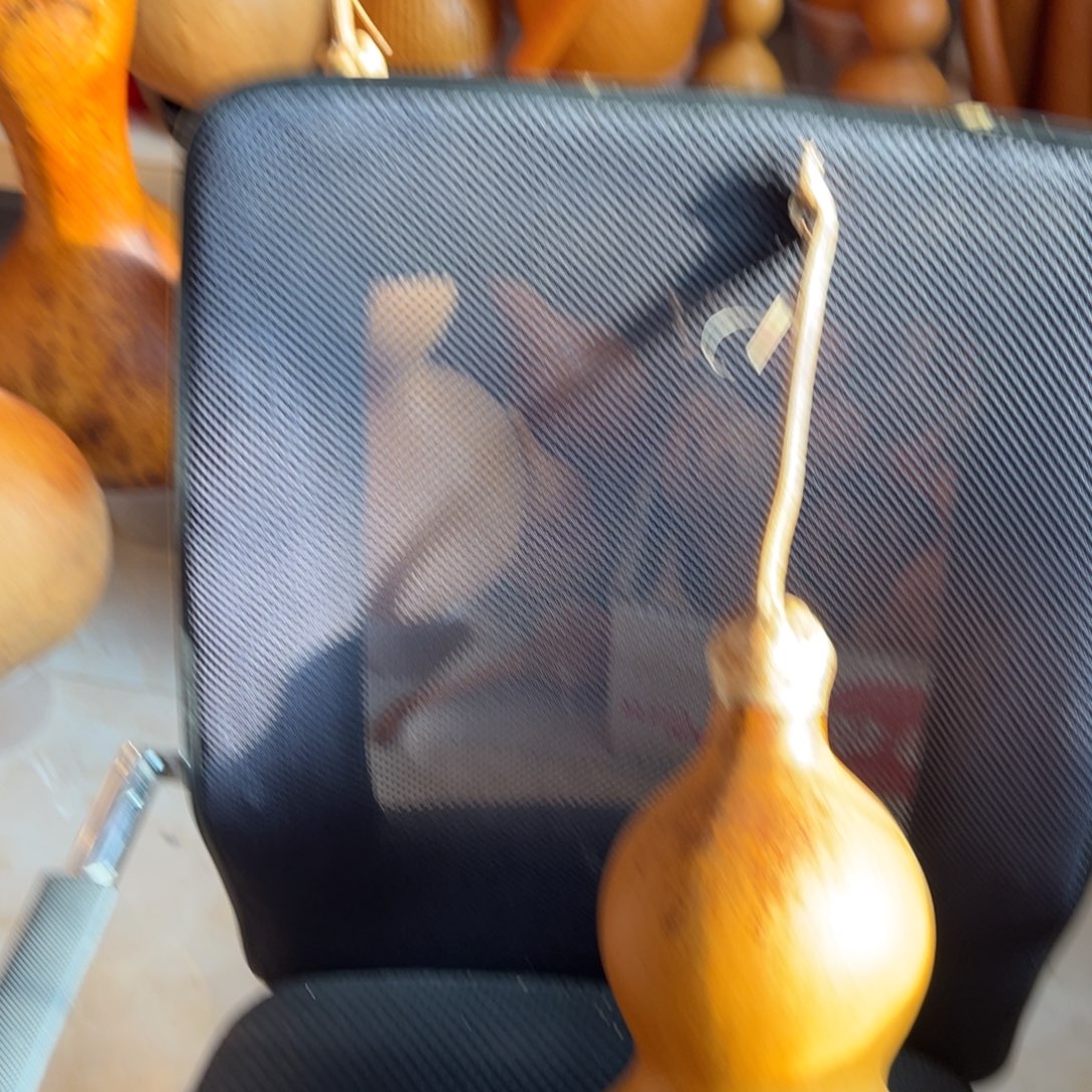 H***生木葫芦葫芦葫芦葫芦