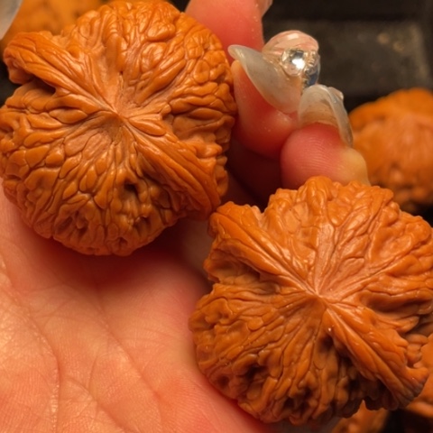 文玩核桃把件秦岭山脉核桃