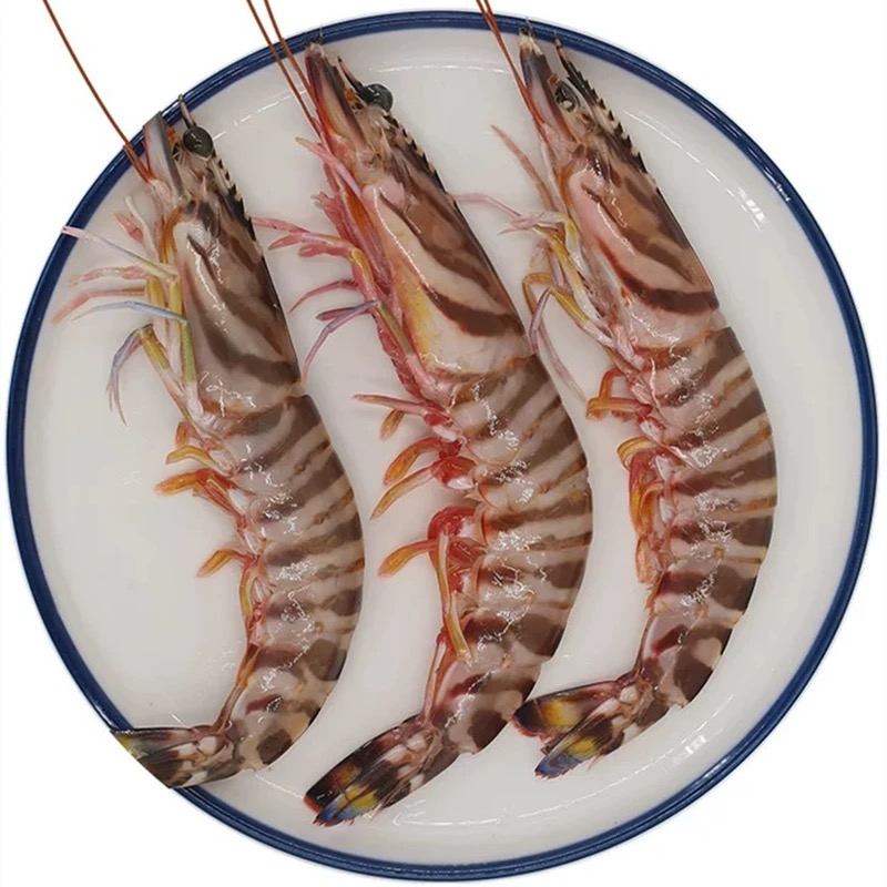 福建船捕【B级特大九节虾】深海捕捞鲜活冰冻锁鲜顺丰发货新鲜食用