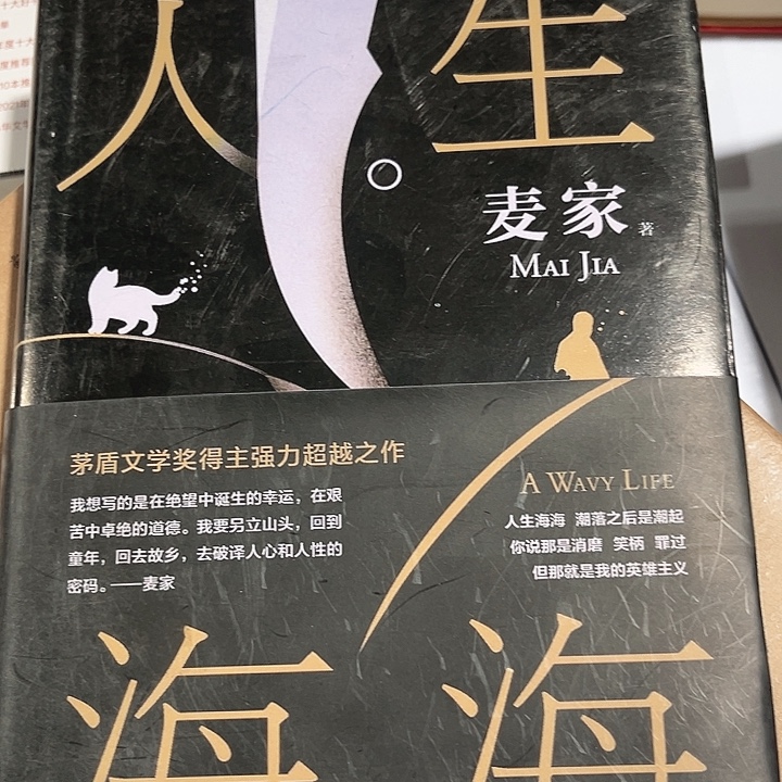 人生海海新书推荐全新