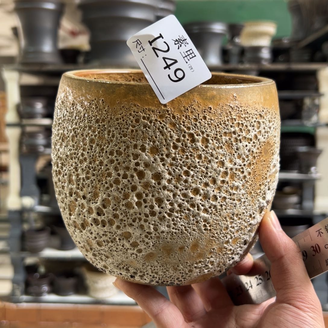 景德镇素里手工内口11.7高12.5