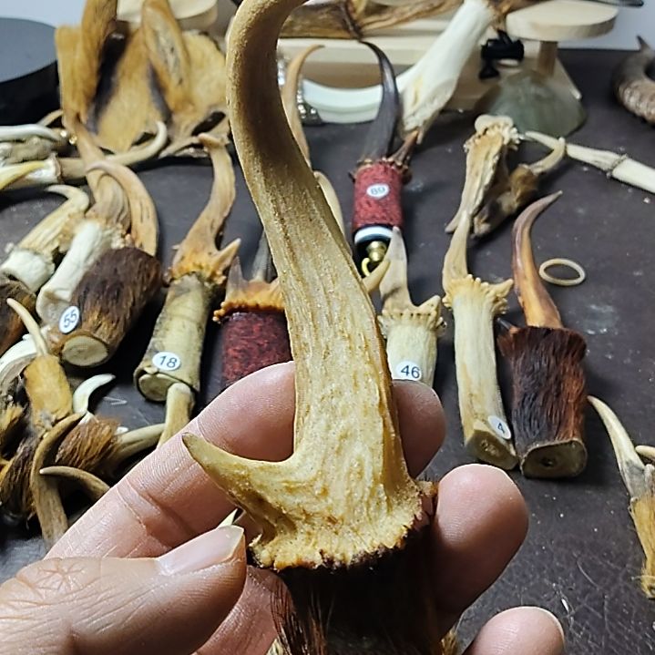 鹿缘坊直播间选货