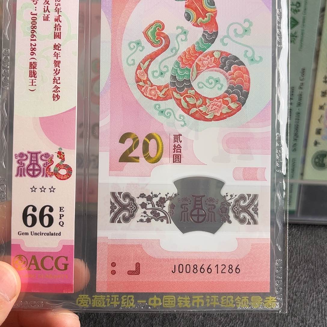 朦胧王008661286单张蛇钞