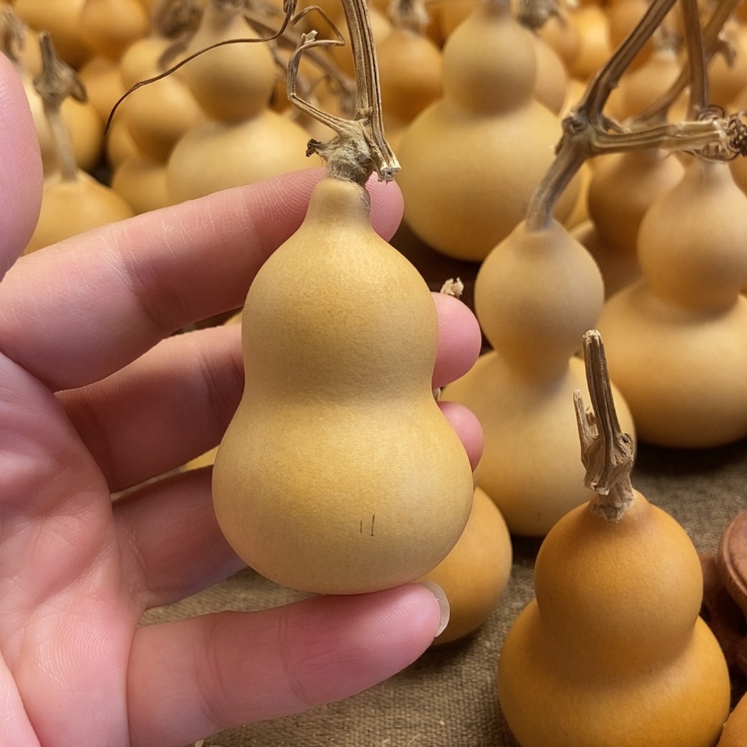 文玩葫芦 完美主义者 慎拍11