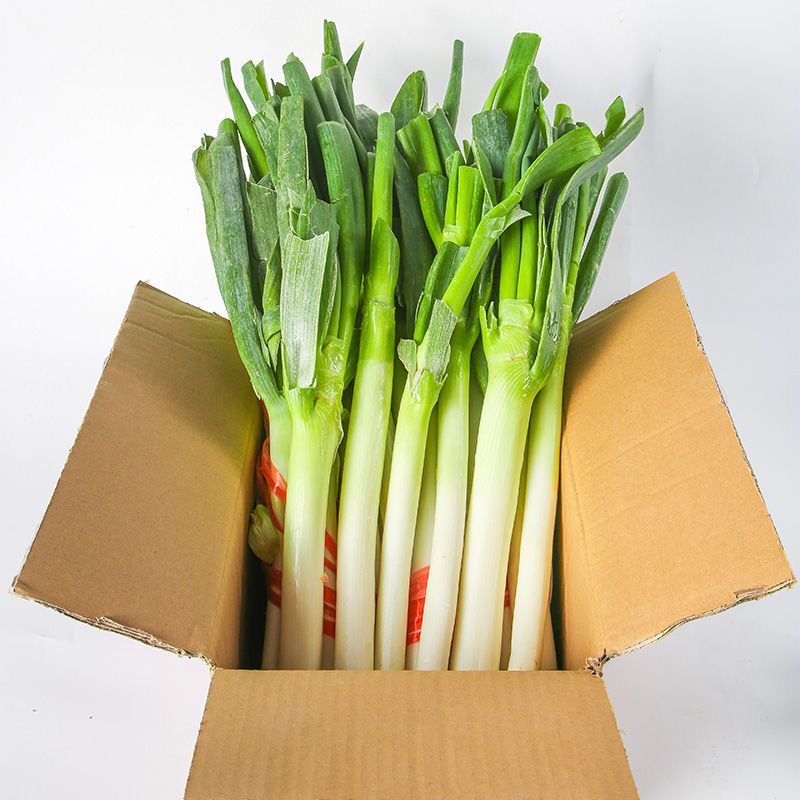 【去皮去叶】山东新鲜铁杆大葱现挖现发甜脆可口适合调味炒菜5斤