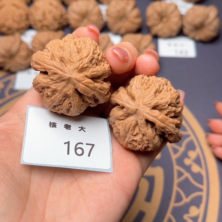文玩核桃把件41大粗筋 167