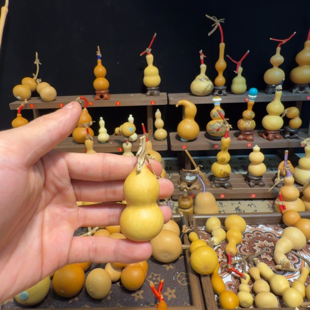 蹄***稳葫芦111111111111111111111