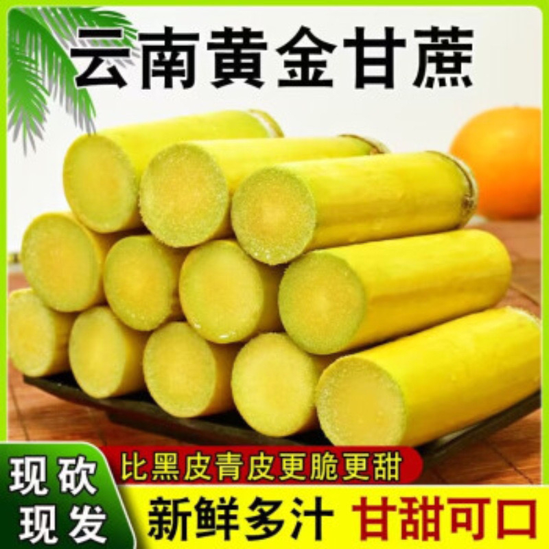 云南甘蔗黄皮青皮新鲜现砍脆甜多汁当季水果