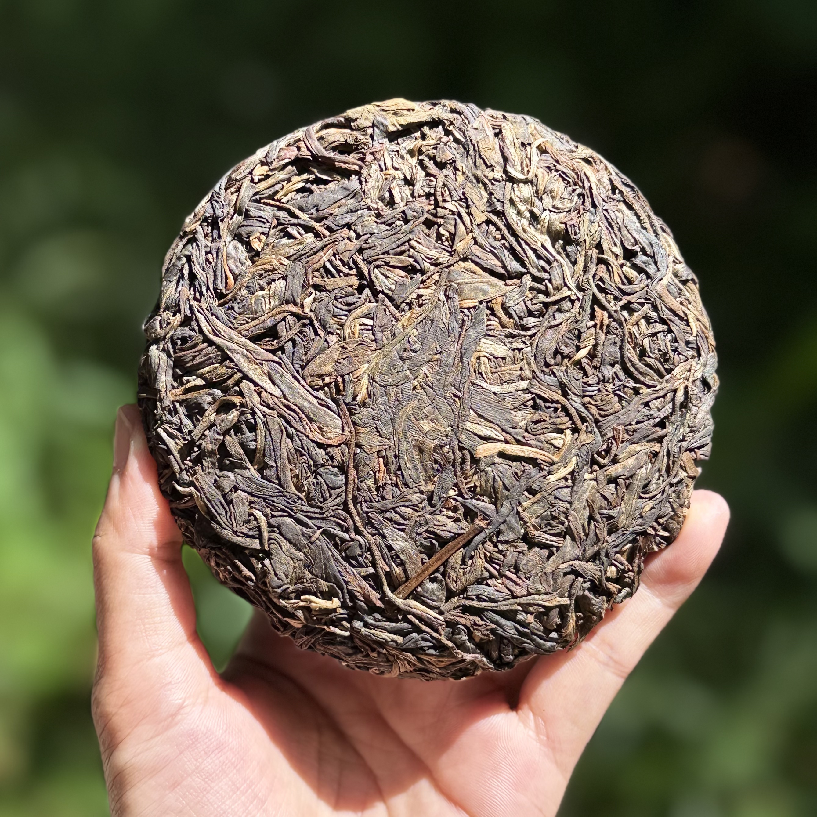 2019年 易比古树纯料  头春头采 100g饼（带茶样）