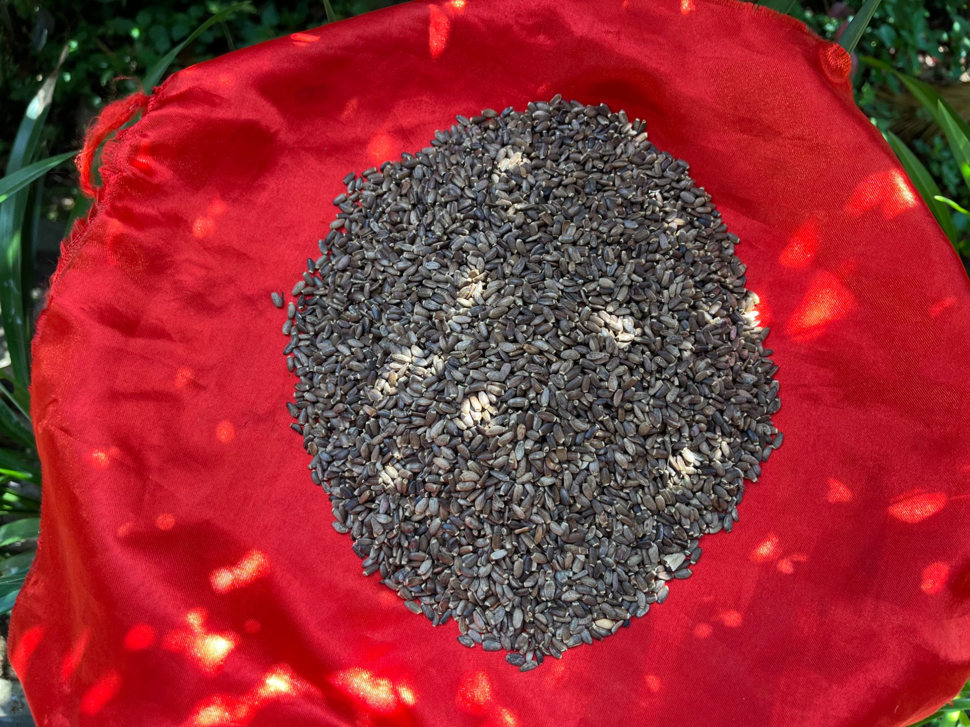 1【水-飞-J】净含量：250g-1000g【阿徐现收】