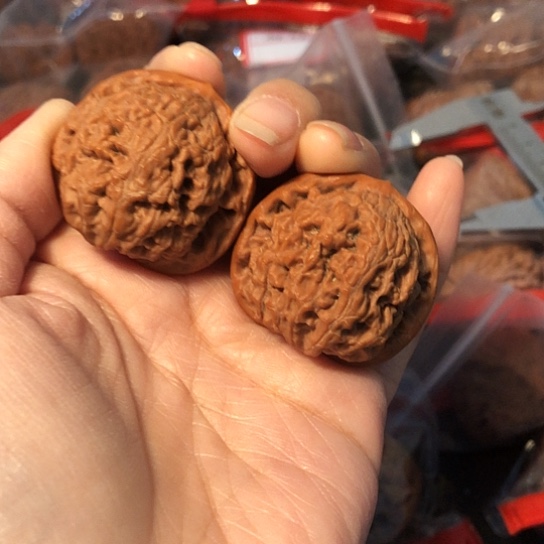 文玩核桃吊坠水龙37