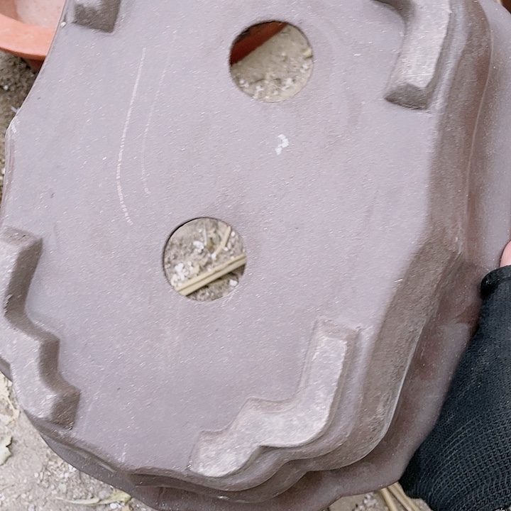 紫砂28莲花佳品佳品佳品