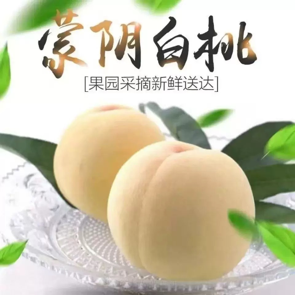 山东蒙阴奶油白桃新鲜应季爽脆爆甜多汁清甜爽口3-5斤