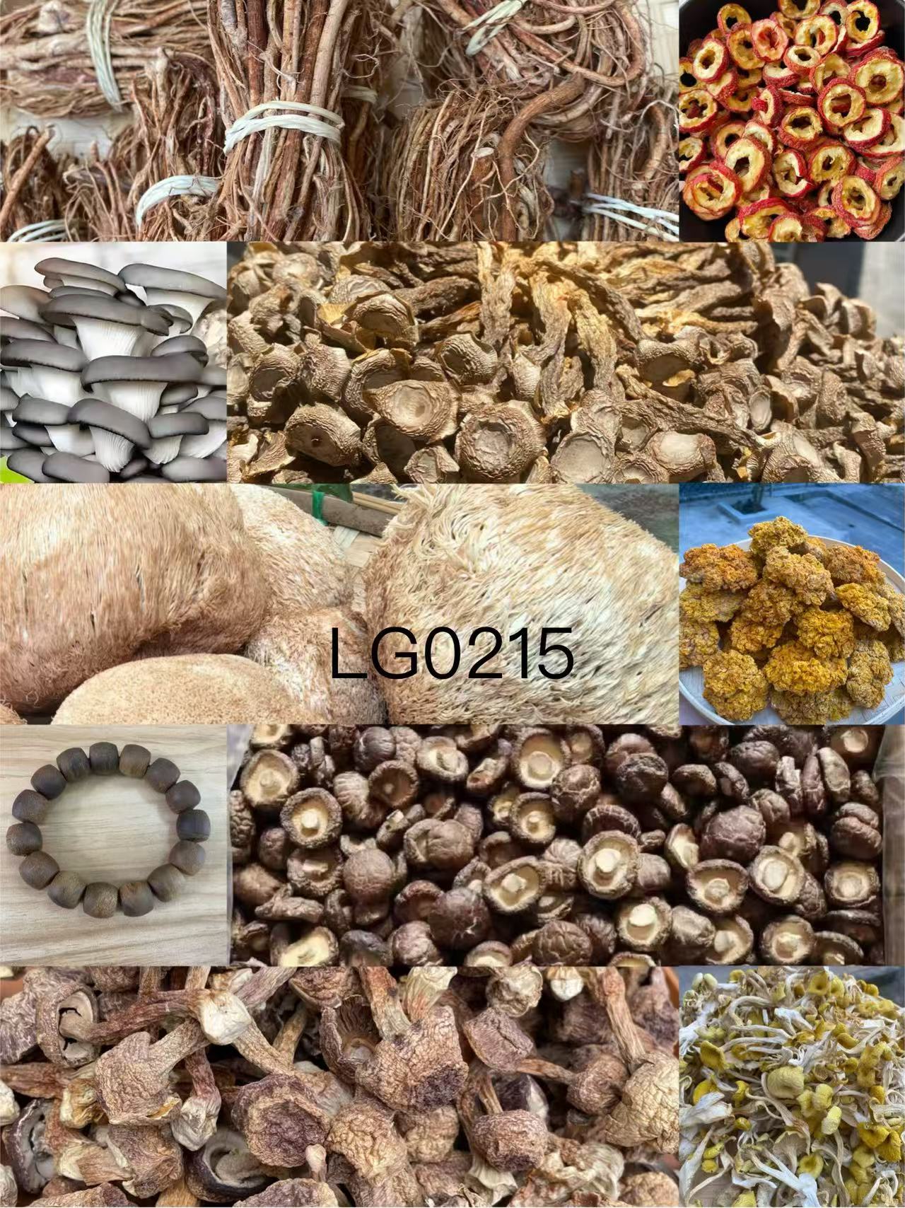 （文总专用土特产）LG0215多样性发货 重量35克左右