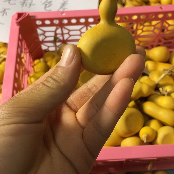 你***？默认微瑕不退不换