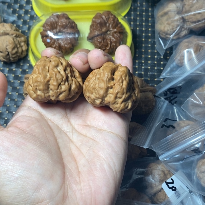 文玩核桃把件蛤蟆40