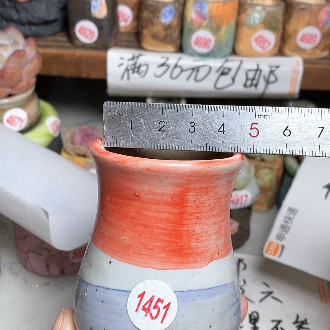 红陶拍5送一个小