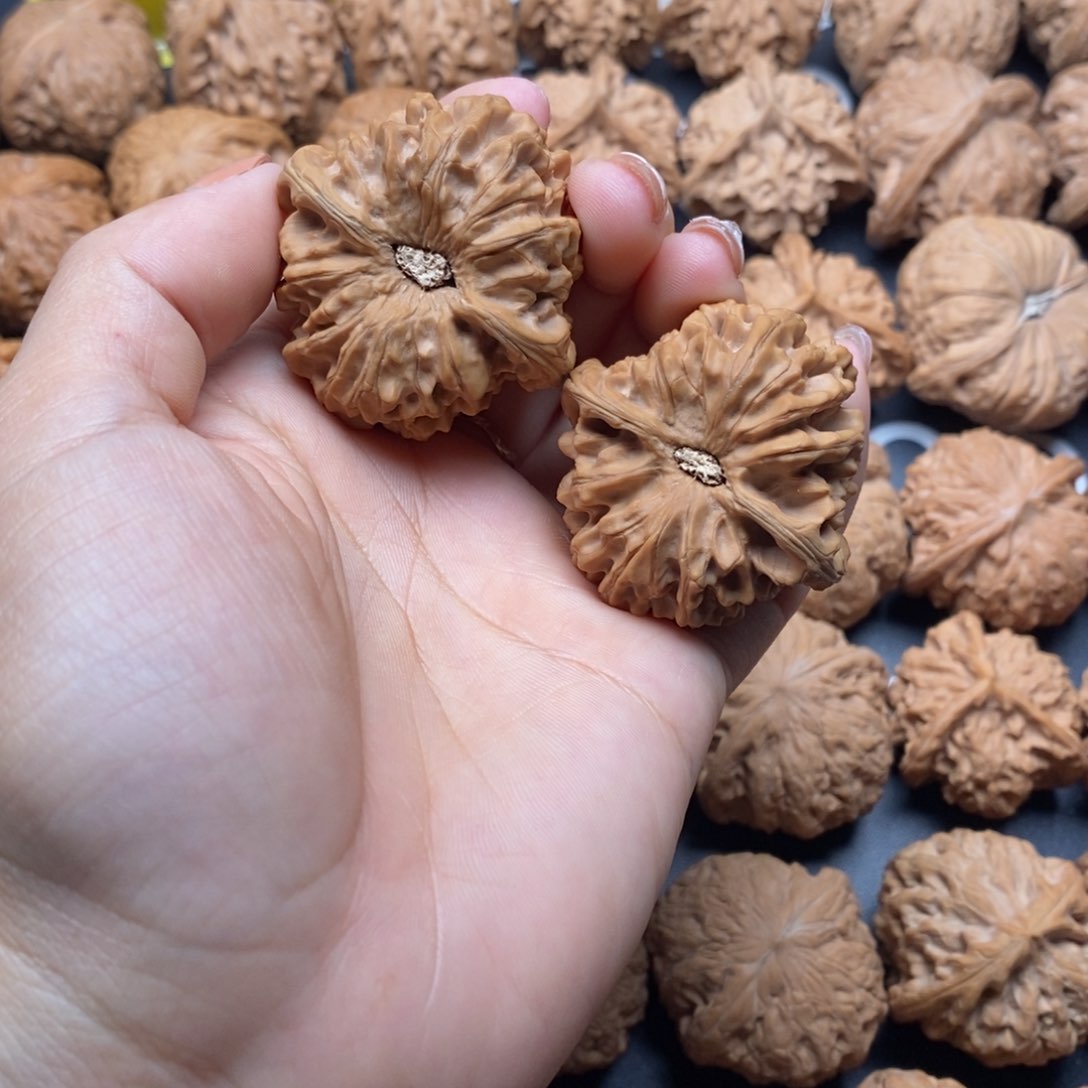 文玩核桃把件龙门40