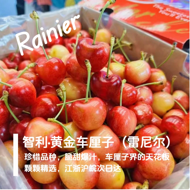 【5J高品质黄车次日达】yellowdreams雷尼尔4.4斤智利海运黄金车厘子内附果径卡雷尼尔樱桃智利共和国