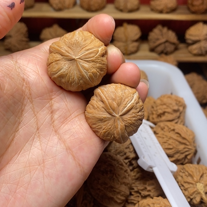 S***n文玩核桃把件文玩