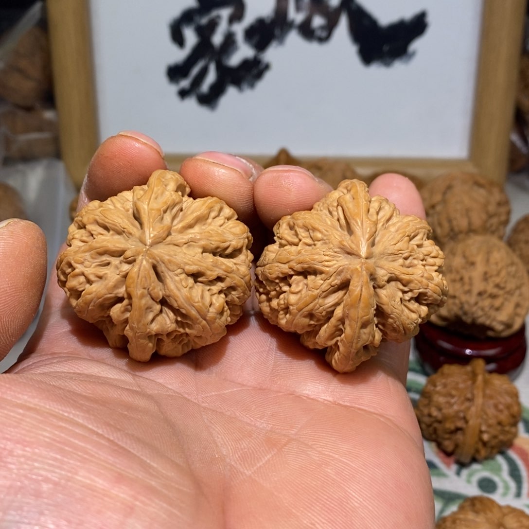 文玩核桃把件浮*～42尺大粗筋