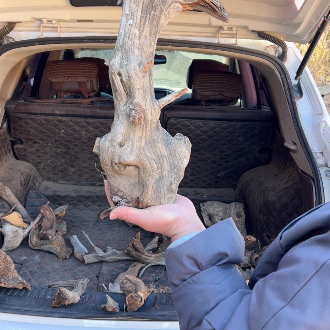 柏木（崖柏）添****店