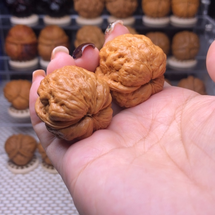 文玩核桃把件13号肌肉蛙32尺