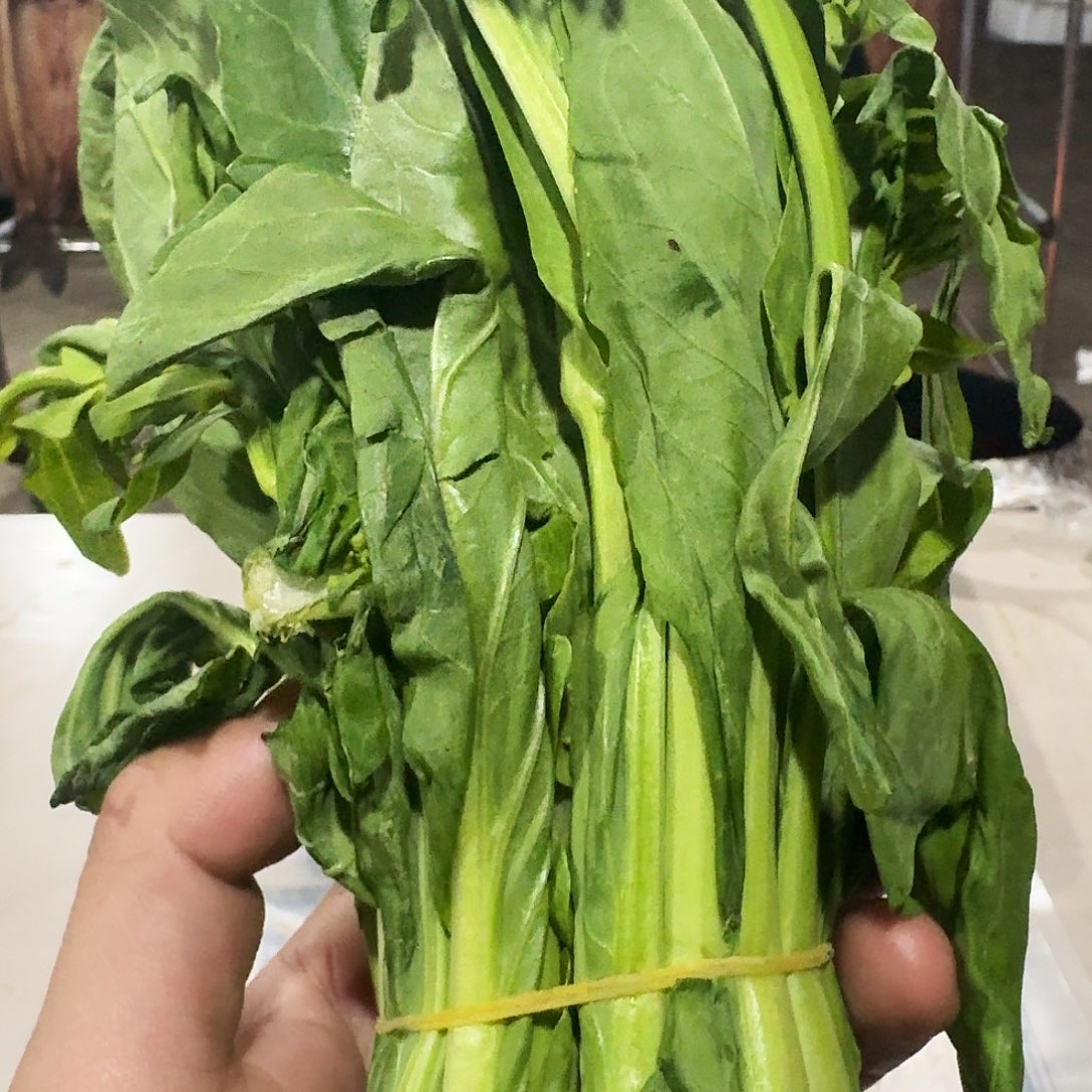 用***8白菜中国大陆青菜