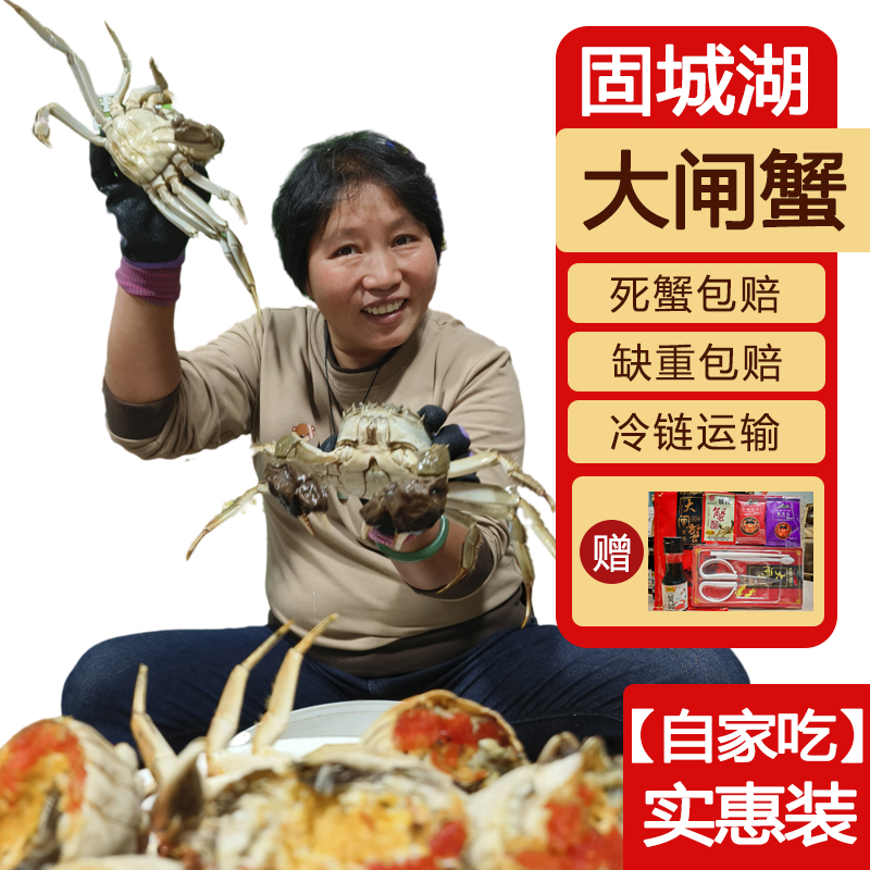自家吃蟹款】活蟹固城湖大闸蟹母蟹10只2.5-2.8两去绳净重鲜活水产