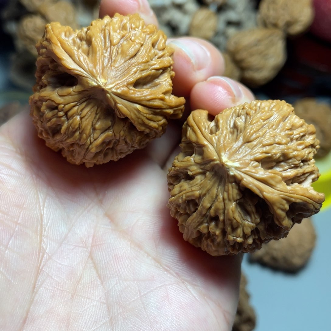 核桃手串/手链精品南疆石飞蛇