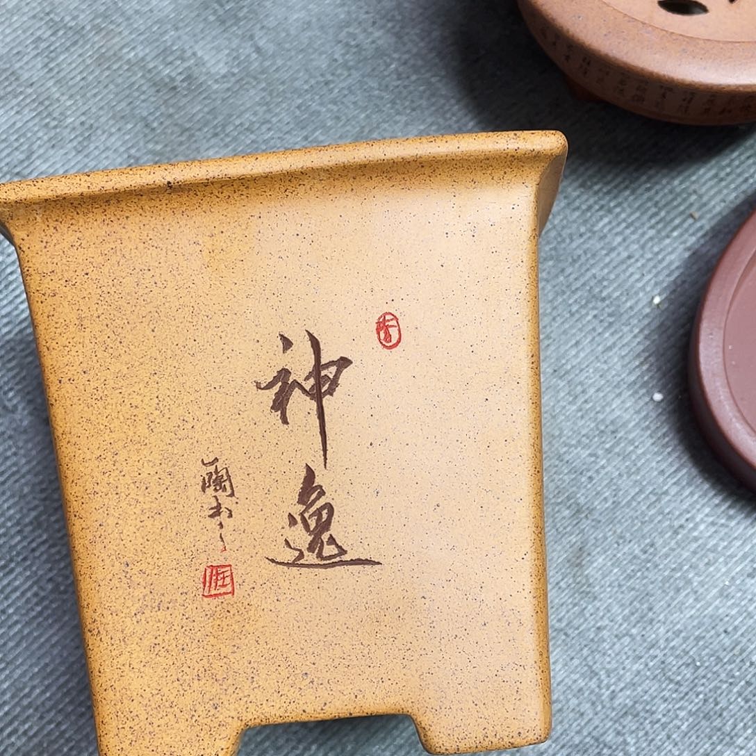 花***林紫砂小盆10*10cmmmm