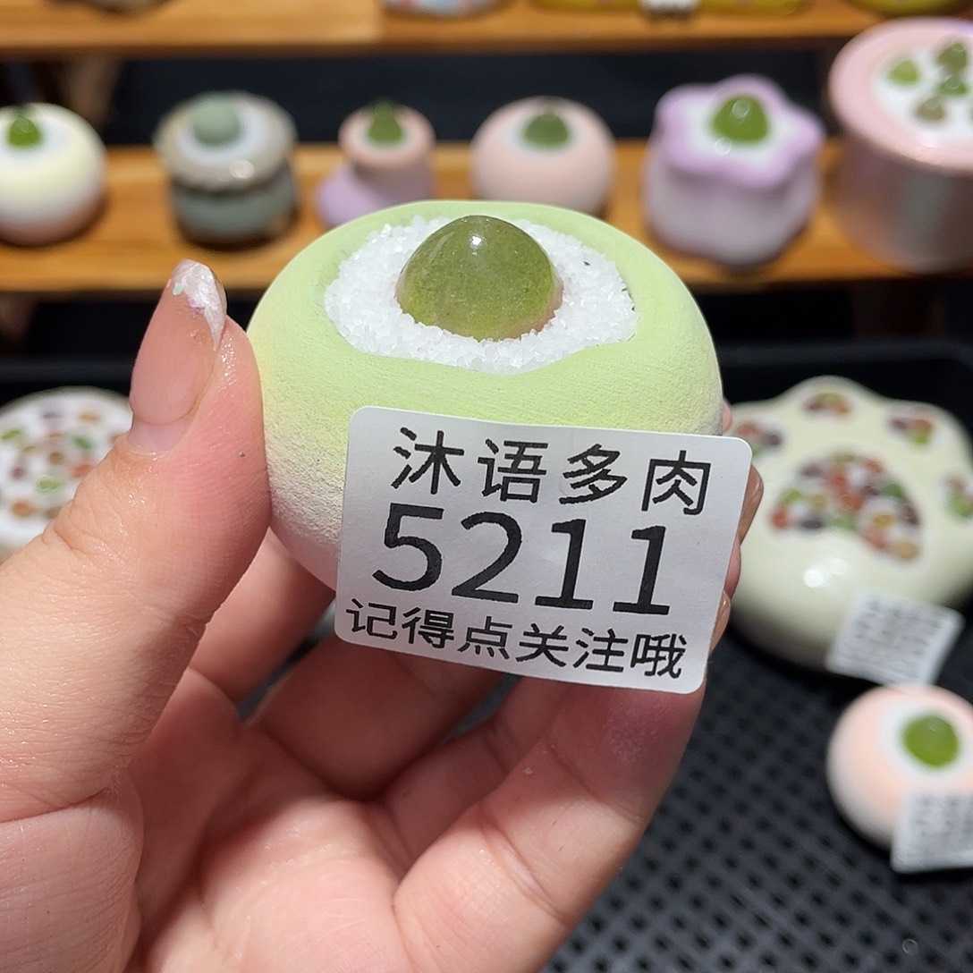 ꮤ***.带盆土植物 一物一拍5211