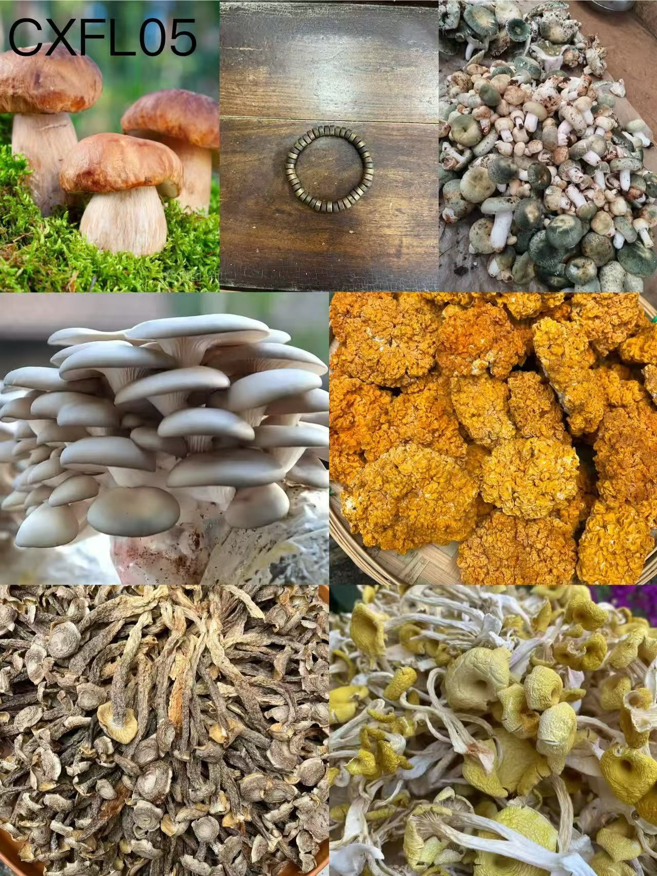 （文总专用土特产）CXFL05多样性发货 重量8克左右