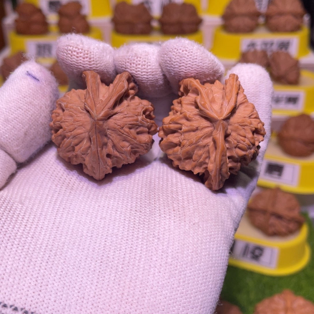 把件桃核生命之源