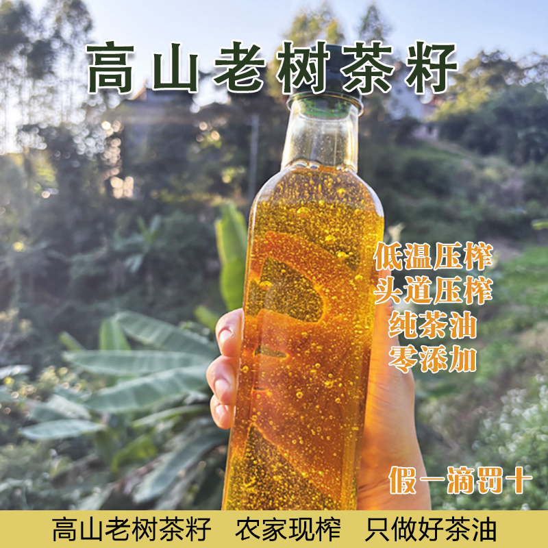 头道压榨山茶油 纯茶油  农家土榨山茶油