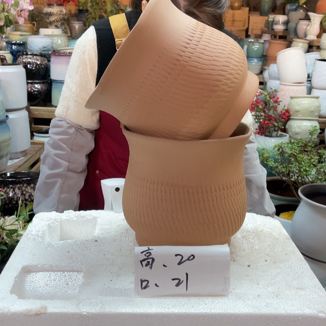 红陶高度20口径21