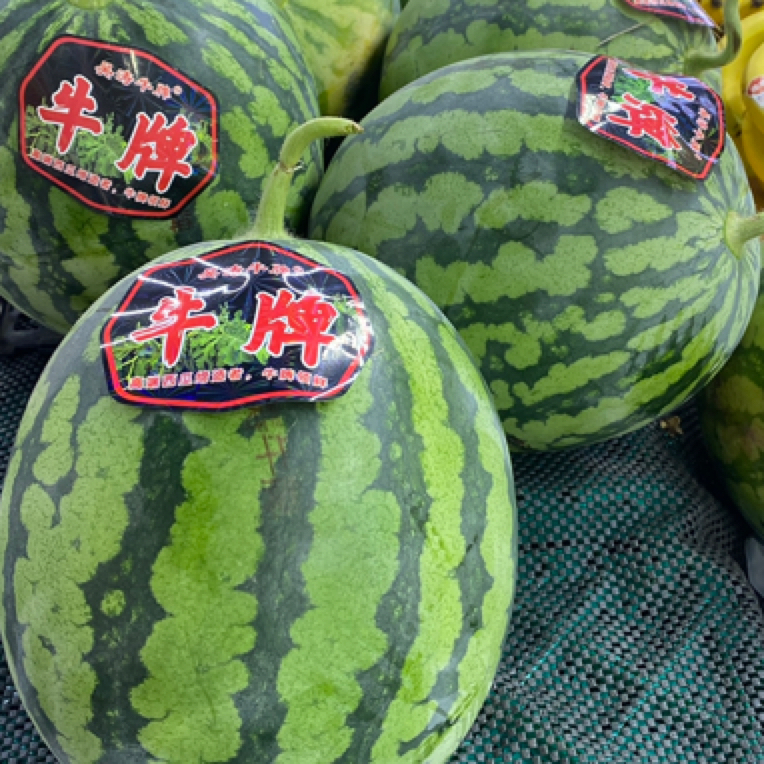 【小时达】1个牛牌西瓜（6斤左右）
