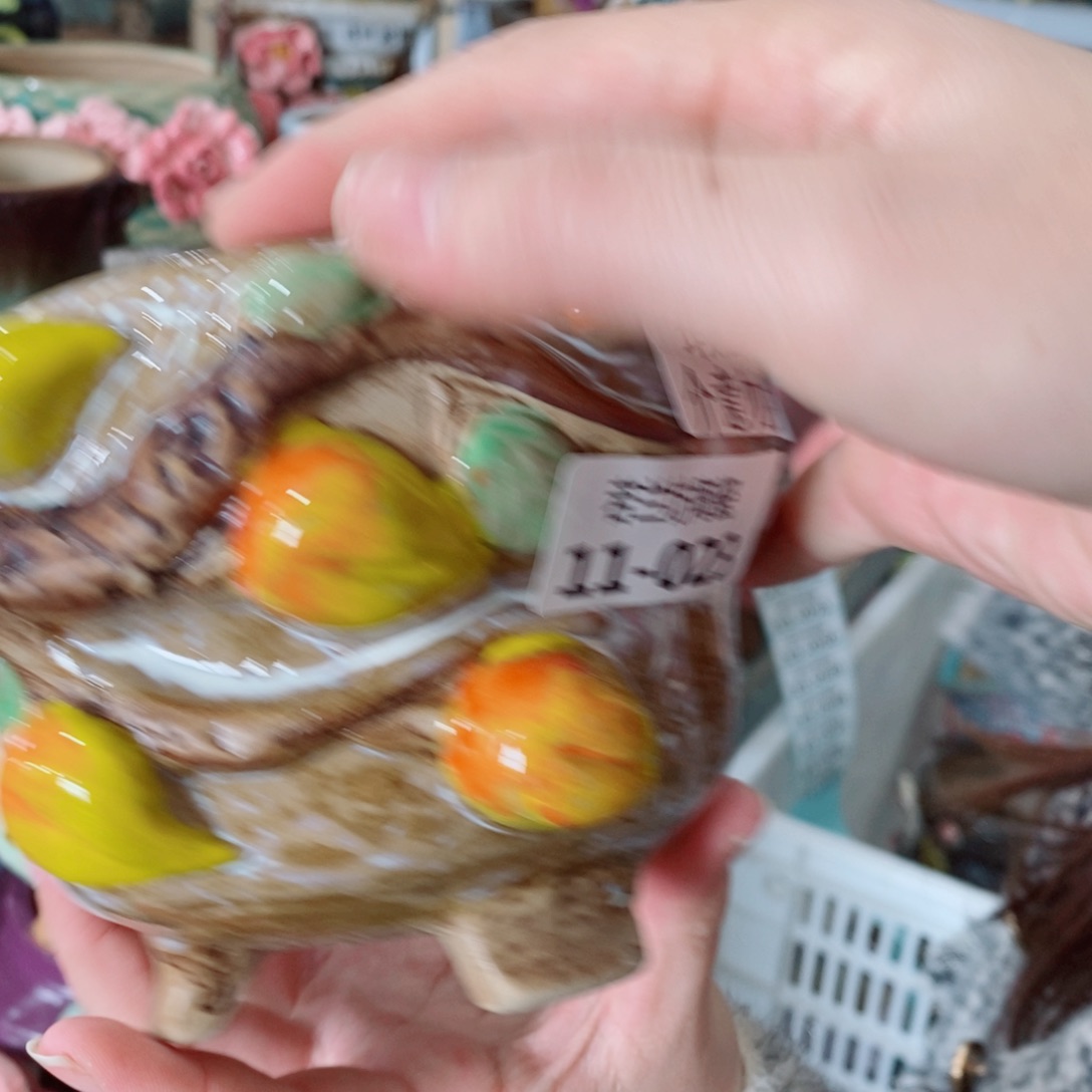 红陶福利福利福利瑕疵1123