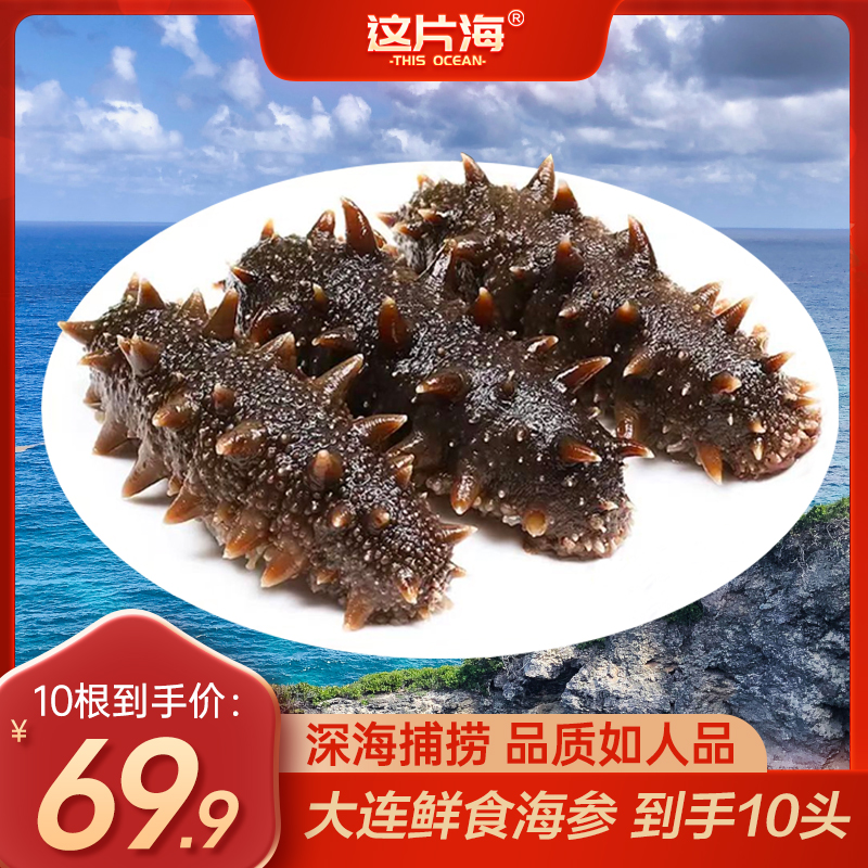 【小妹儿海参】大连鲜食海参10头到手均价6.69一头肥壮秋参1号100-500克精品海鲜