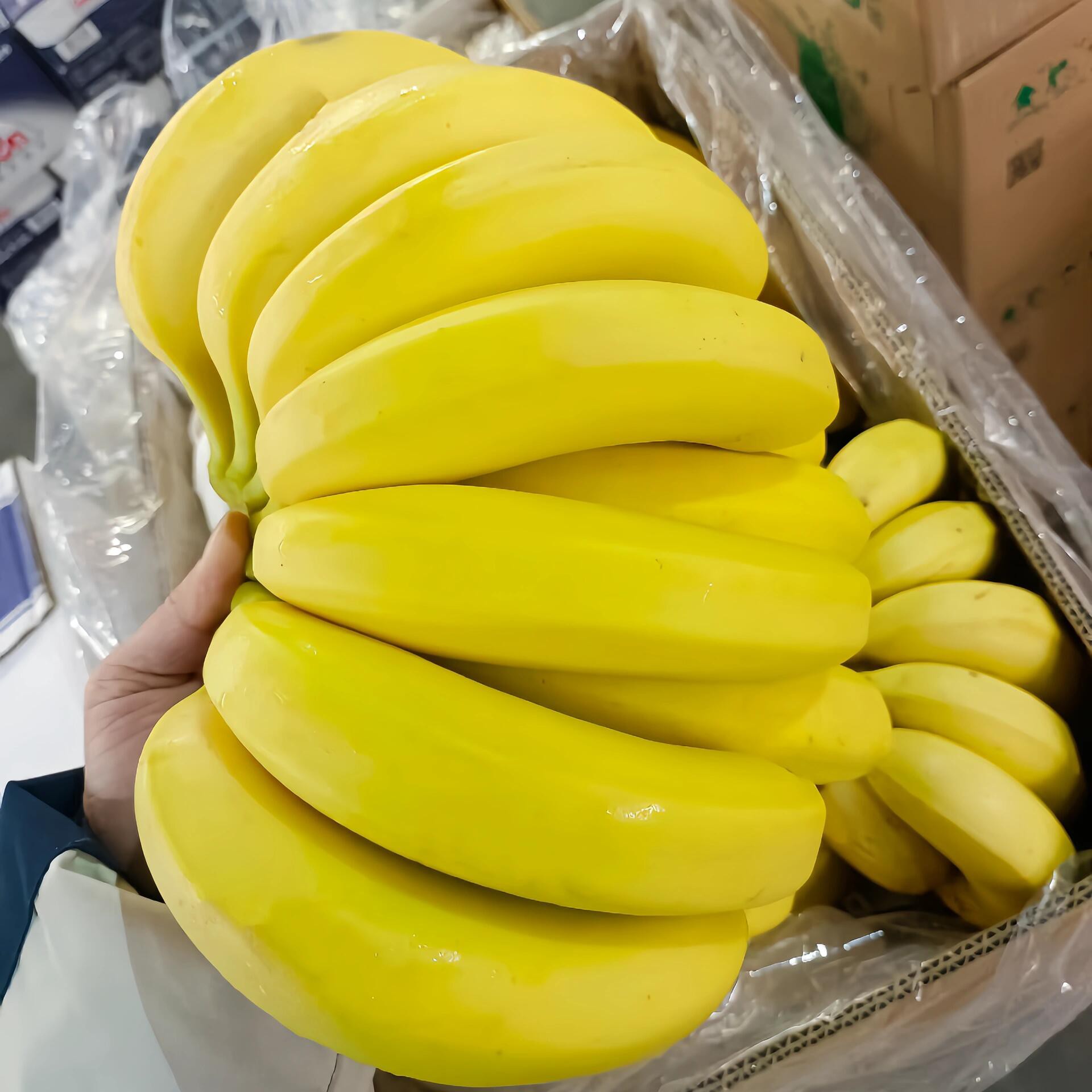 皇帝香蕉顺丰快递