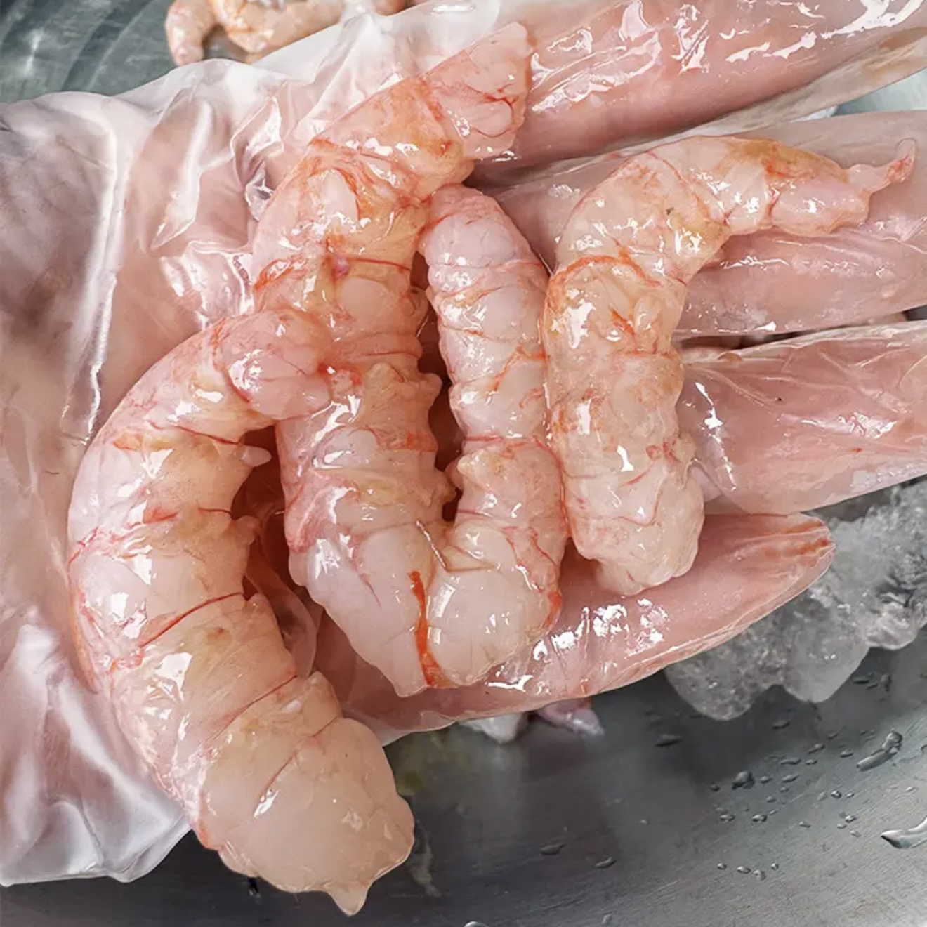 【马鲛仔海产】野生红虾仁250g盒/共3盒净重750g速冻顺丰包邮博贺港
