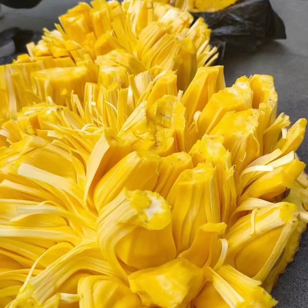 【整果】越南新鲜奶香菠萝蜜【8-12斤】同城配送越南