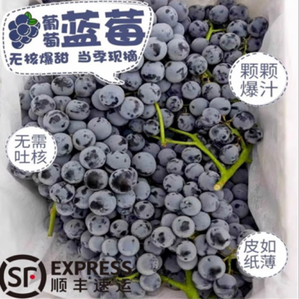 【顺丰包邮】新疆蓝莓葡萄吐鲁番无籽葡萄轻微掉粒不会售后新疆维吾尔自治区