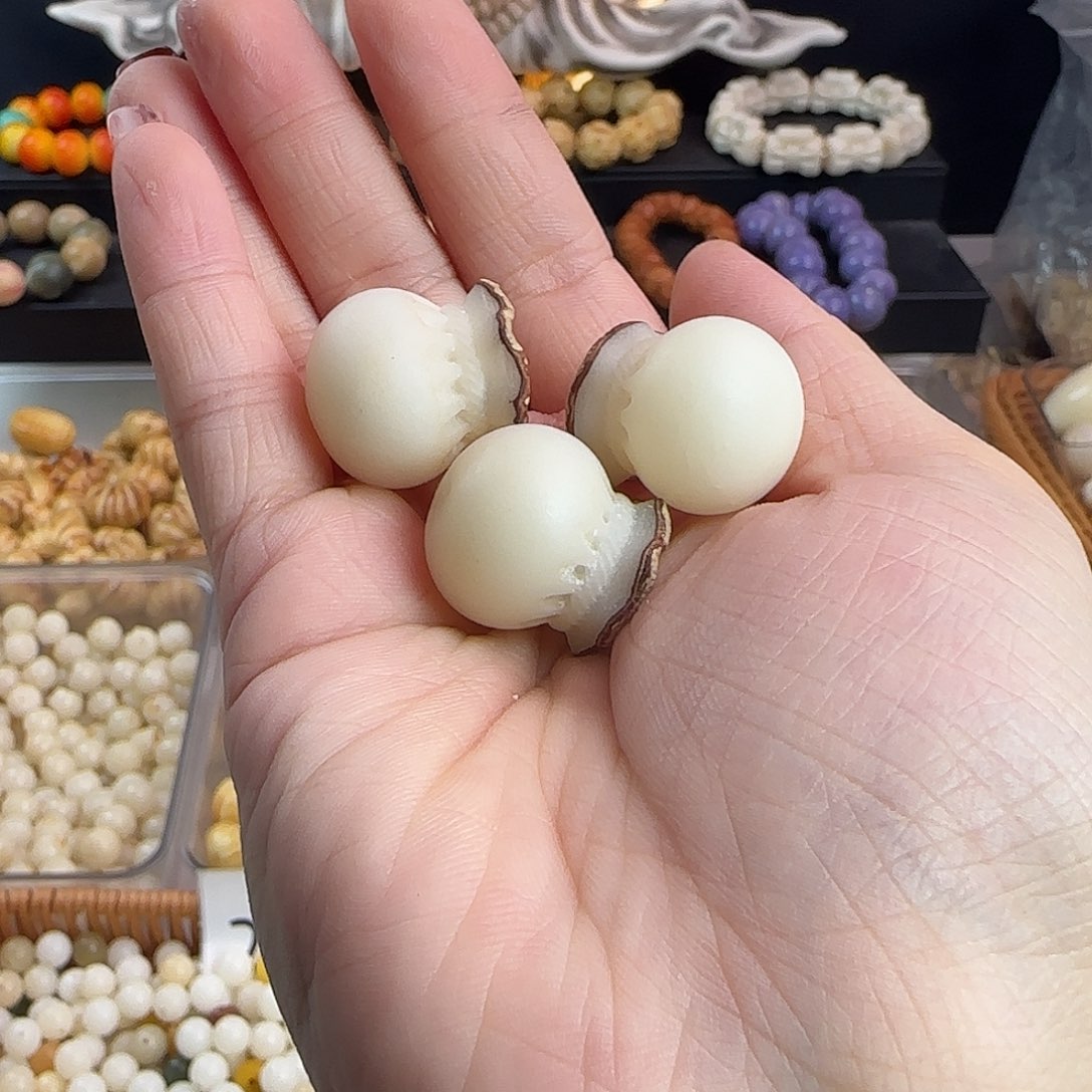 菩提根/象牙果手串瑕疵卡20大钱袋10颗