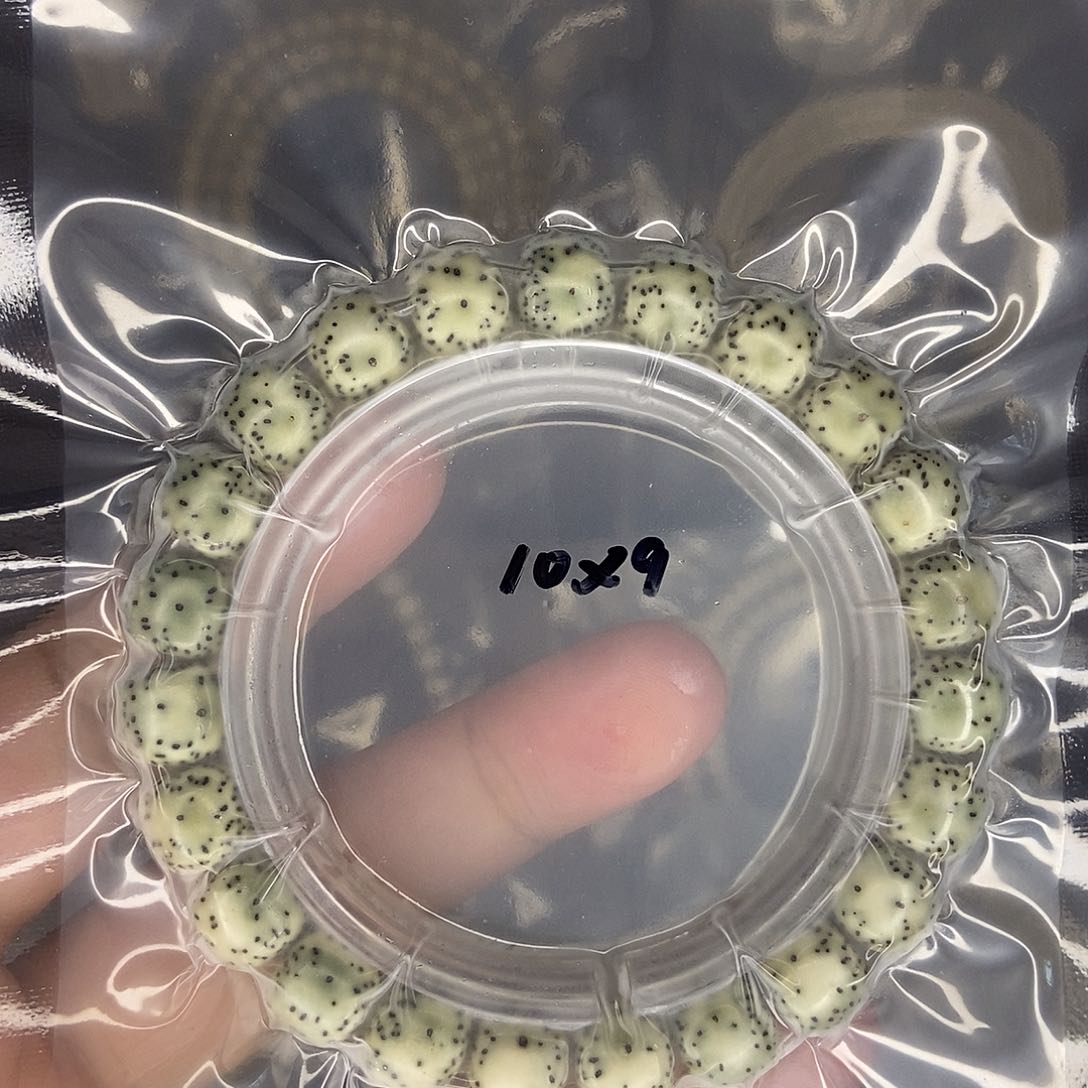 星月菩提手串星月