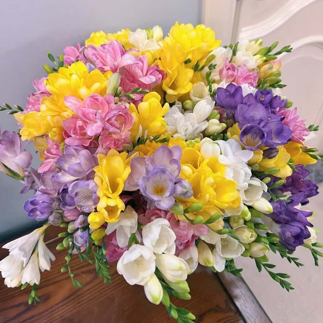 【香羿鲜花】小苍兰，单色（颜色随机）/全场任意满两单及以上包邮