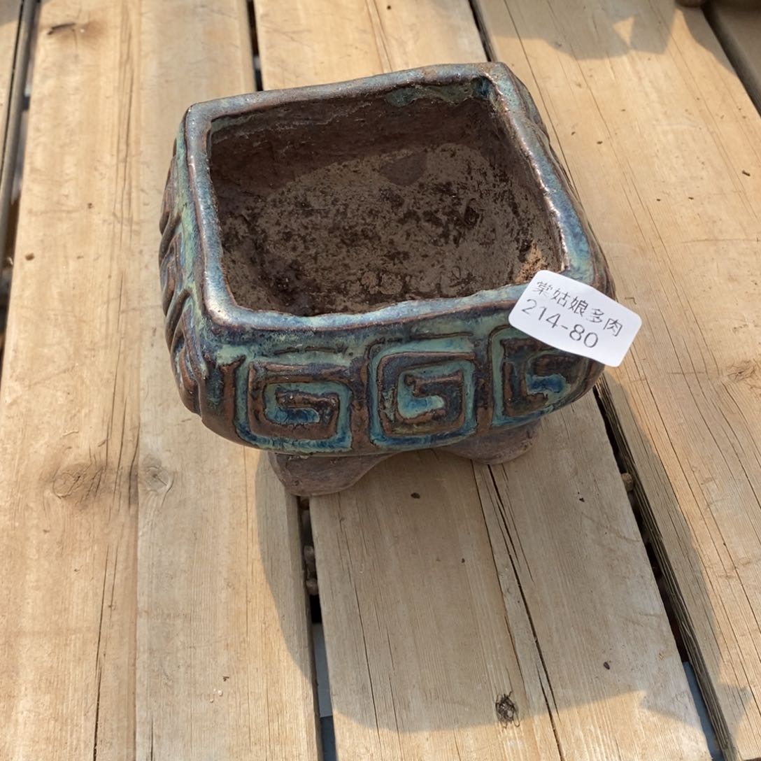 红陶燕**?80号多肉盆一个呀