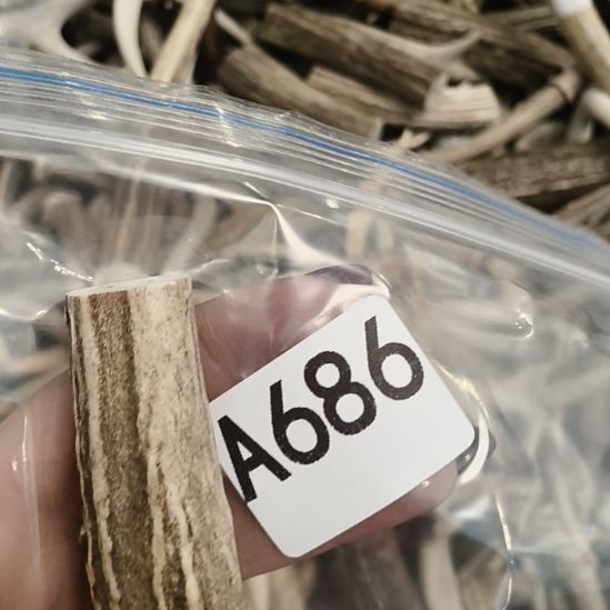 小***豆鹿角鹿角鹿角鹿角鹿角